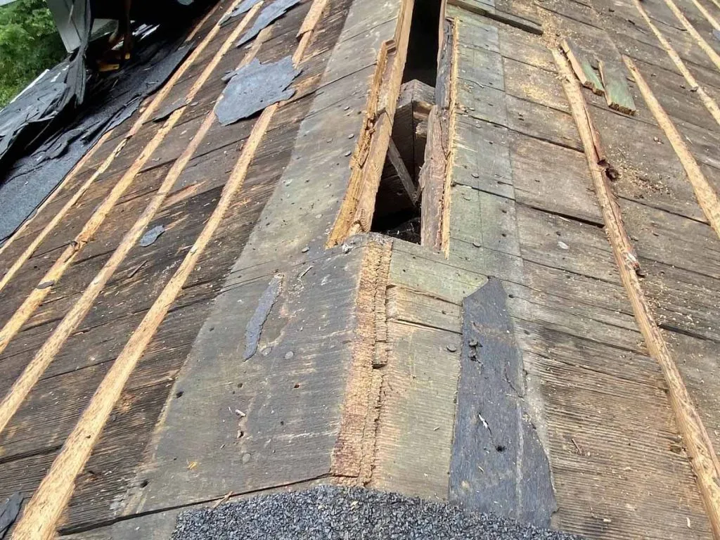 Roof Repair Services Xterior Solutions